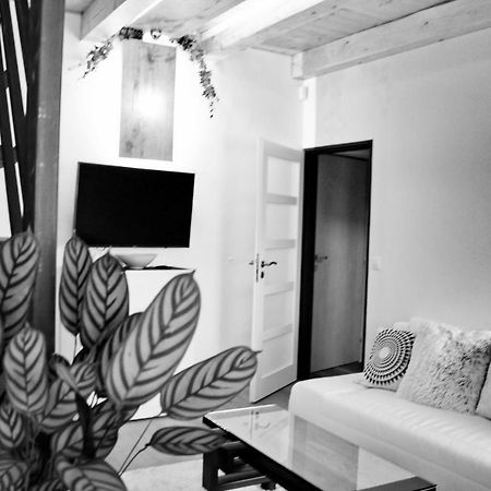 Apartmány Ztracená Roudnice nad Labem Esterno foto